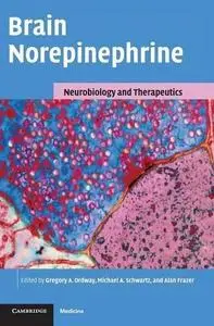 Brain Norepinephrine: Neurobiology and Therapeutics