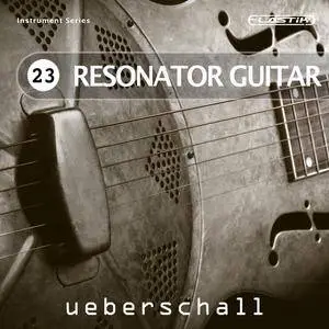 Ueberschall Resonator Guitar ELASTIK