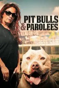 Pit Bulls and Parolees S11E06