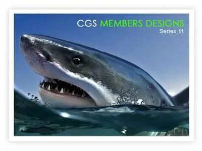 CGS Members Designs    |   Series 11