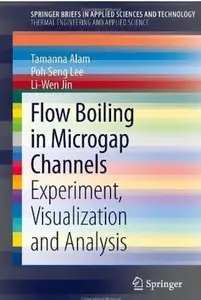 Flow Boiling in Microgap Channels: Experiment, Visualization and Analysis [Repost]