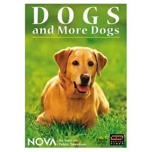 NOVA: Dogs and More Dogs