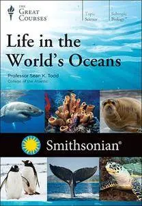 TTC Video - Life in the World's Oceans [Reduced]