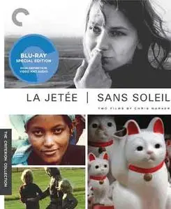 Sans Soleil (1983) [Criterion]