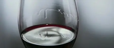 Vinodentro (2013)