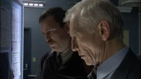 The Accidental Witness (2006)