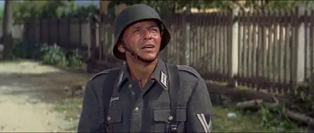 Von Ryan's Express (1965)