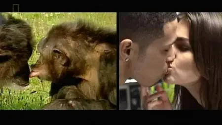 National Geographic - Ape Man (2013)