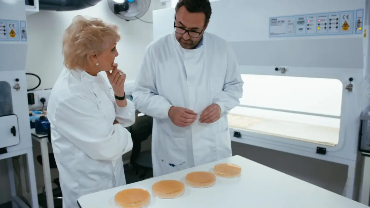 BBC - The Truth About: Antibiotics (2019)