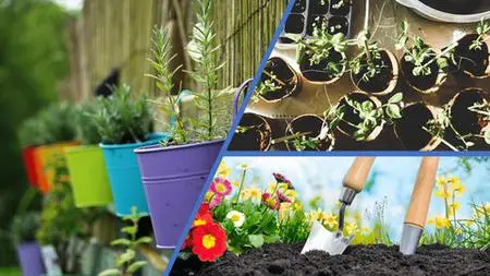 3 Garden courses, Sustainable, Hacks & Spruce up on a budget