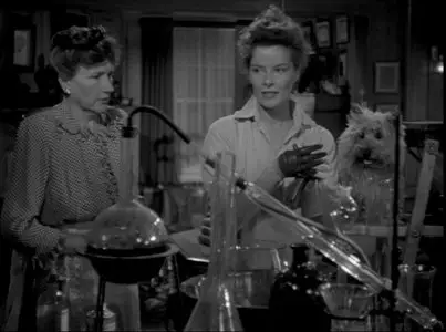 Undercurrent / Der unbekannte Geliebte [DVD9] (1946)