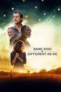 Same Kind of Different as Me (2017)