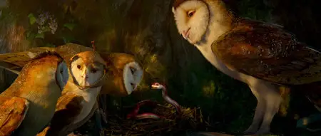 Legend of the Guardians: The Owls of Ga'Hoole / Легенды ночных стражей (2010)
