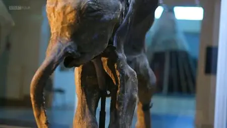 BBC - Woolly Mammoth: Secrets from the Ice (2012)