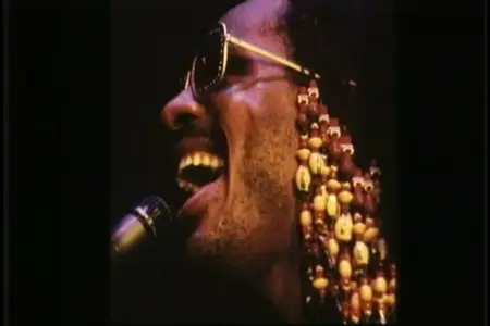 Stevie Wonder - Videobiography (2007)