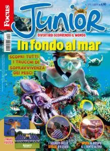 Focus Junior N.211 - Agosto 2021