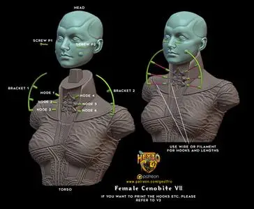 Hex3D - Female Cenobite v2
