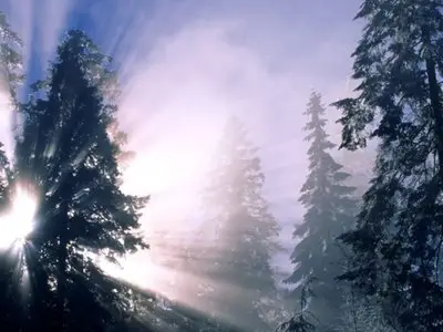 Wallpaper pack: Winter fantasy
