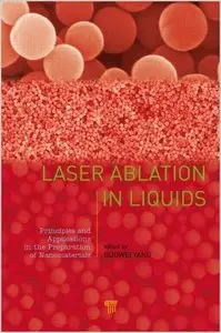 Laser Ablation in Liquids: Principles and Applications in the Preparation of Nanomaterials