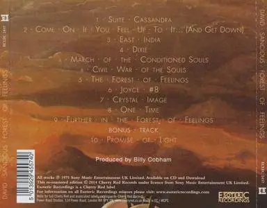 David Sancious - Forest Of Feelings (1975) {Esoteric Recordings}