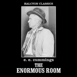 The Enormous Room  (Audiobook)