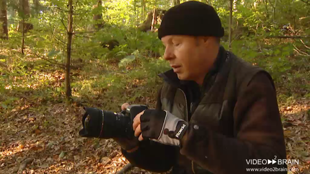 Video2Brain - Praxis-Workshops: Lightroom 3
