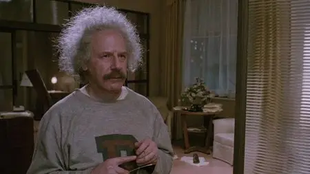 Insignificance (1985) [The Criterion Collection #566]