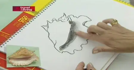 Sketching and Drawing Course