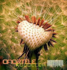 Cinortele - Kodocceh Special Mix
