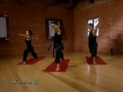 Cameron Shayne - Budokon DVD Set (2007)