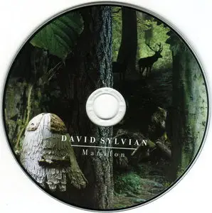 David Sylvian - Manafon (2009) [CD+DVD] {Samadhisound Deluxe Edition + Japan SHM-CD Edition} [combined re-up]