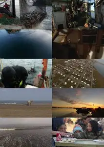 BBC - Arctic with Bruce Parry S01E03: Alaska (2011)