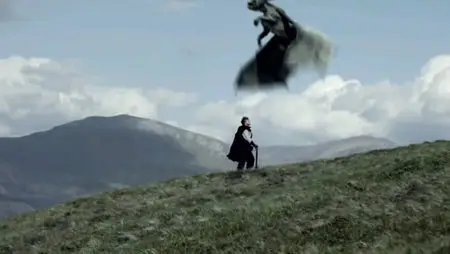 Dragon Crusaders (2011)