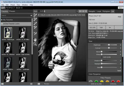 onOne Perfect Photo Suite 9.5.0.1644 Premium Edition (Win/Mac)