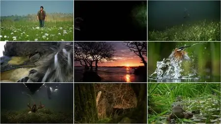 BBC Natural World - Ireland's Wild River: The Mighty Shannon (2015)