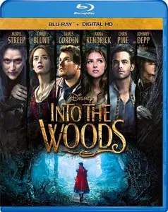 Into the Woods (2014)