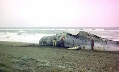The Seed of Man / Il seme dell'uomo / Семя человеческое (1969)