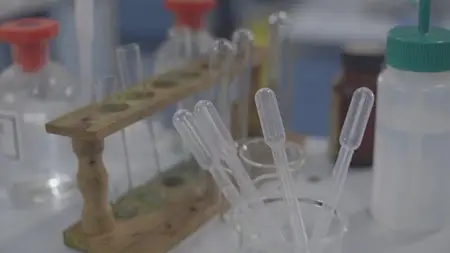 The Genius Of Marie Curie The Woman Who Lit Up The World (2013)