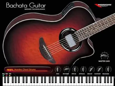 Producers Vault Bachata Guitar WiN