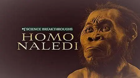 Wild Dog Films - Science Breakthroughs: Homo Naledi (2017)