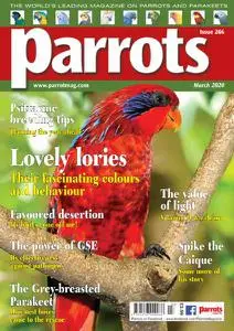 Parrots - March 2020