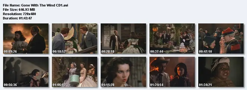 Gone with the Wind - DVDRip - (1939)