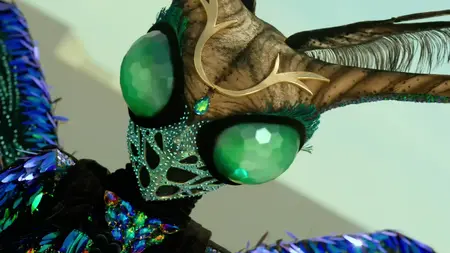 The Masked Singer S02E01