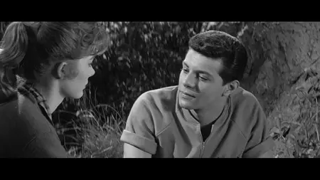 Panic in Year Zero! (1962)
