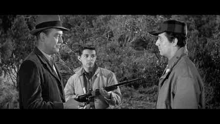 Panic in Year Zero! (1962)