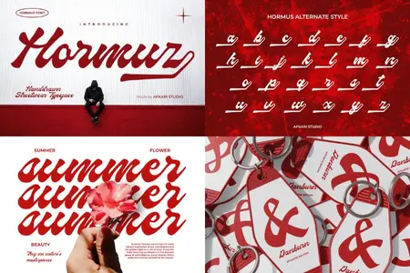 Hormuz - Bold Script Font