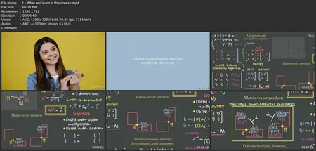 Become A Linear Algebra Master