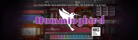 Prominy Hummingbird v1.26 KONTAKT