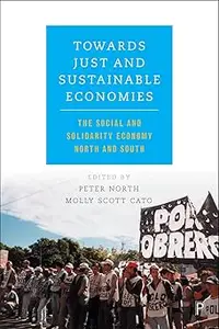 Towards Just and Sustainable Economies: The Social and Solidarity Economy North and South