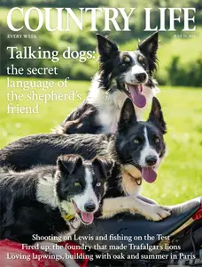 Country Life UK - July 24, 2024